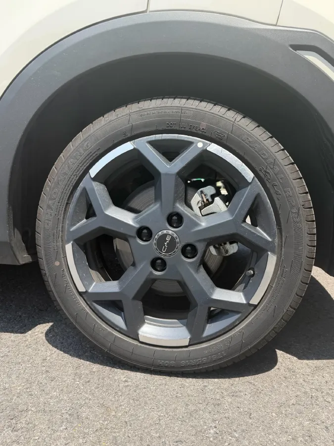 2025 BYD Seagull BEV 30.08KWH,autocango,china used car exporter,china ev exporter,chinese used car exporter,chinese used ev exporter