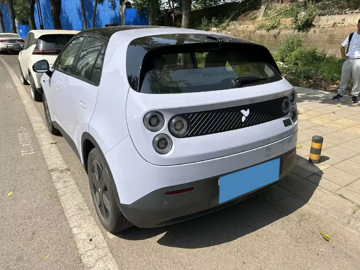 2025 Firefly Firefly BEV,autocango,china used car exporter,china ev exporter,chinese used car exporter,chinese used ev exporter