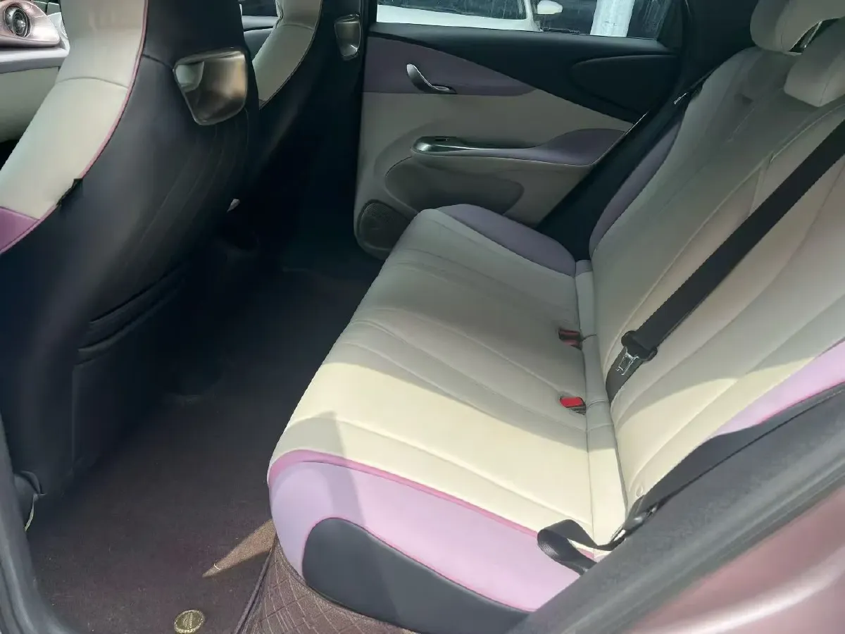 2021 BYD Yuan Pro BEV 50.1KWH,autocango,china used car exporter,china ev exporter,chinese used car exporter,chinese used ev exporter