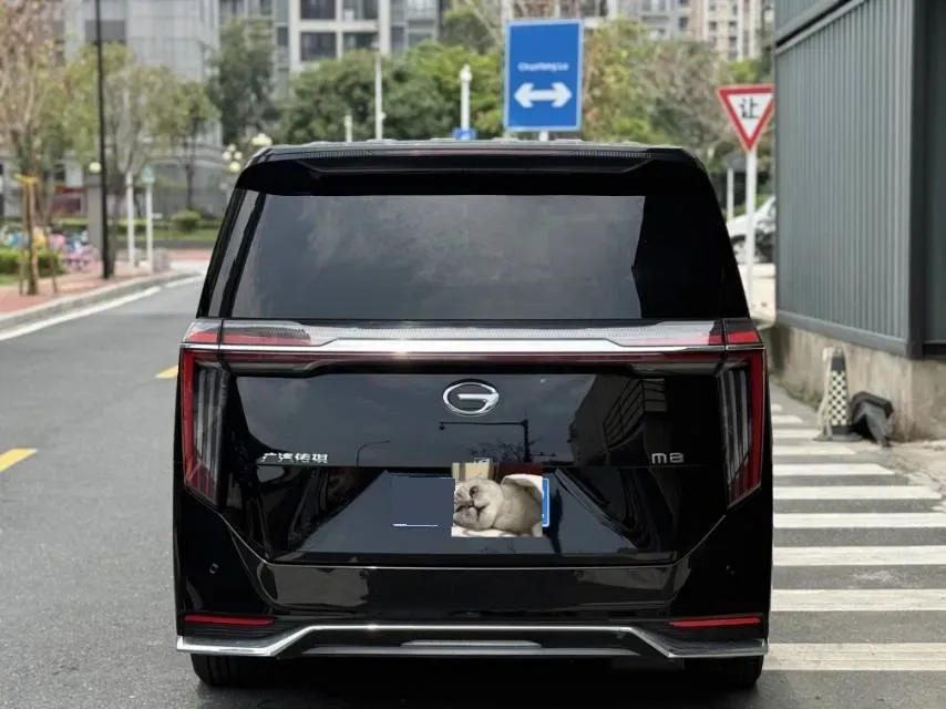 2023 GAC Trumpchi M8 2.0T 252HP L4 8AT,autocango,china used car exporter,china ev exporter,chinese used car exporter,chinese used ev exporter