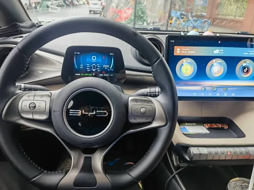 2023 BYD Dolphin BEV 44.928KWH,autocango,china used car exporter,china ev exporter,chinese used car exporter,chinese used ev exporter