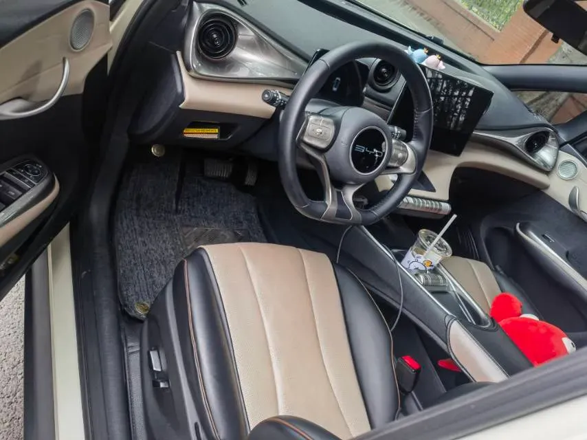 2023 BYD Dolphin BEV 44.928KWH,autocango,china used car exporter,china ev exporter,chinese used car exporter,chinese used ev exporter