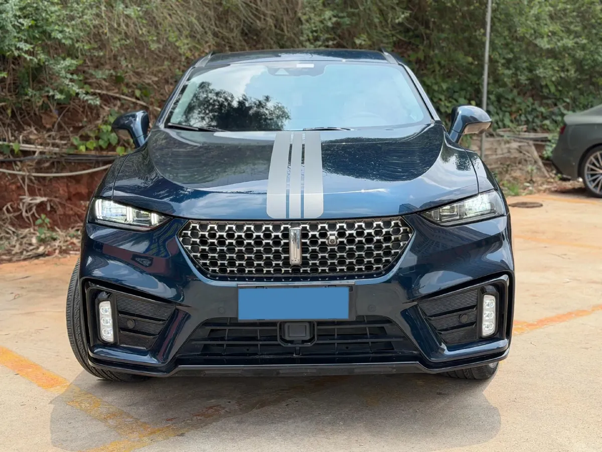 2020 WEY VV7 2.0T 227HP L4 7DCT,autocango,china used car exporter,china ev exporter,chinese used car exporter,chinese used ev exporter