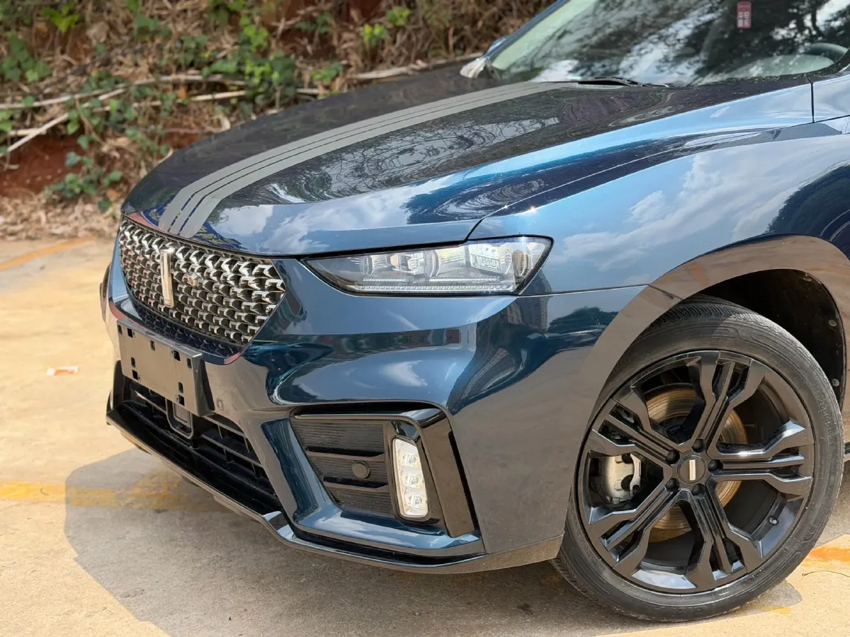 2020 WEY VV7 2.0T 227HP L4 7DCT,autocango,china used car exporter,china ev exporter,chinese used car exporter,chinese used ev exporter