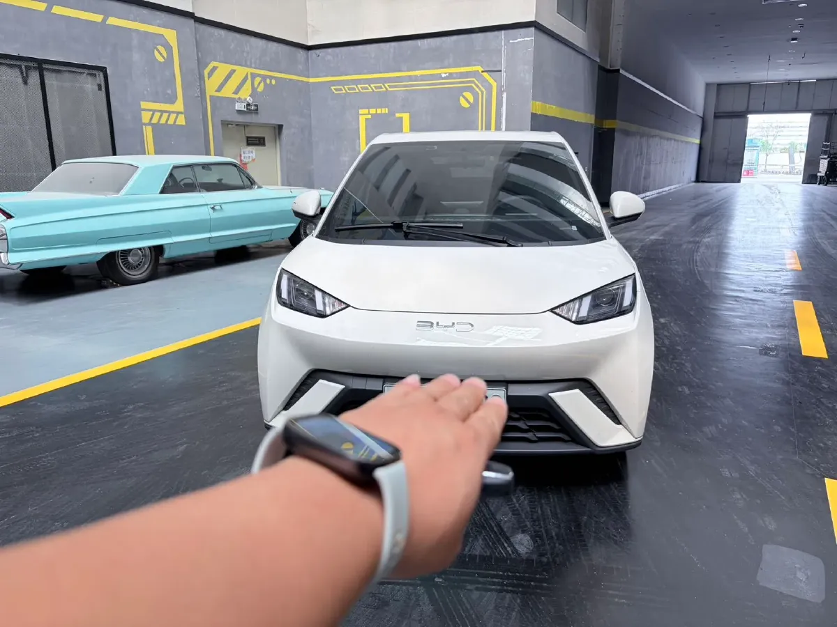 2024 BYD Seagull BEV 30.08KWH,autocango,china used car exporter,china ev exporter,chinese used car exporter,chinese used ev exporter