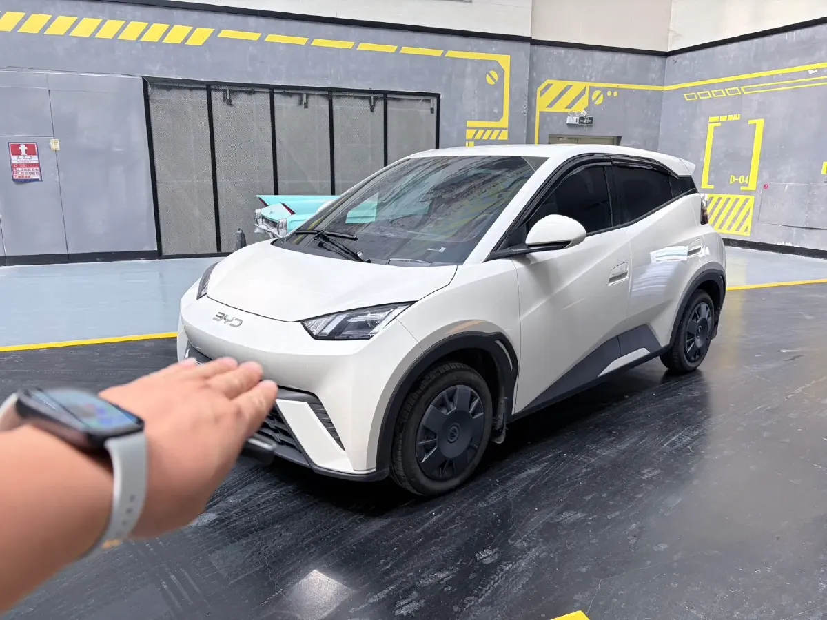 2024 BYD Seagull BEV 30.08KWH,autocango,china used car exporter,china ev exporter,chinese used car exporter,chinese used ev exporter