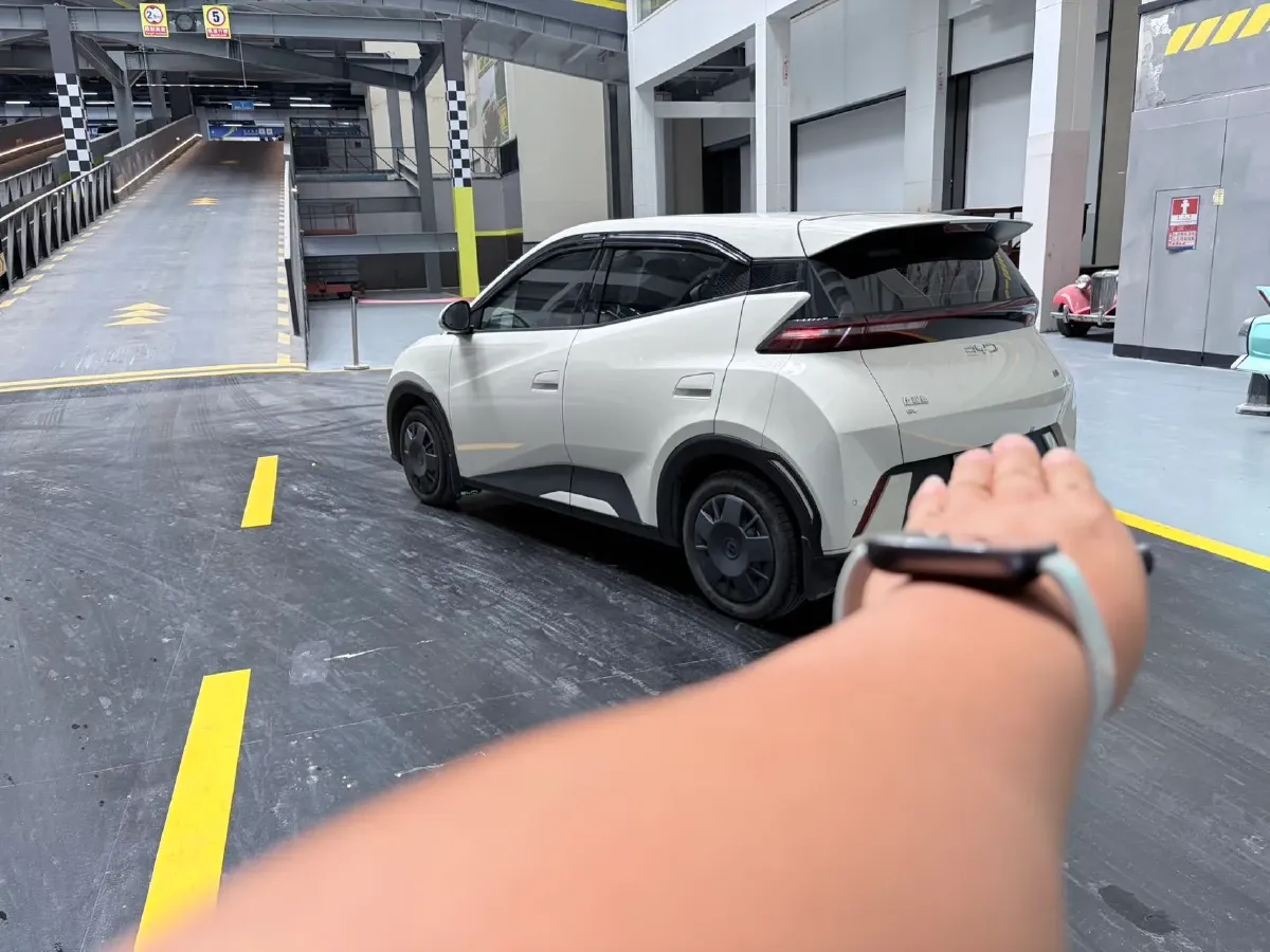 2024 BYD Seagull BEV 30.08KWH,autocango,china used car exporter,china ev exporter,chinese used car exporter,chinese used ev exporter