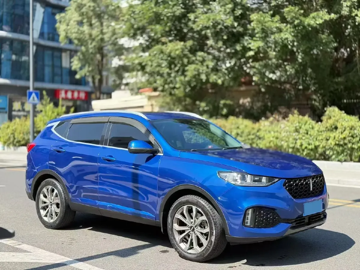 2018 WEY VV6 2.0T 197HP L4 7DCT,autocango,china used car exporter,china ev exporter,chinese used car exporter,chinese used ev exporter