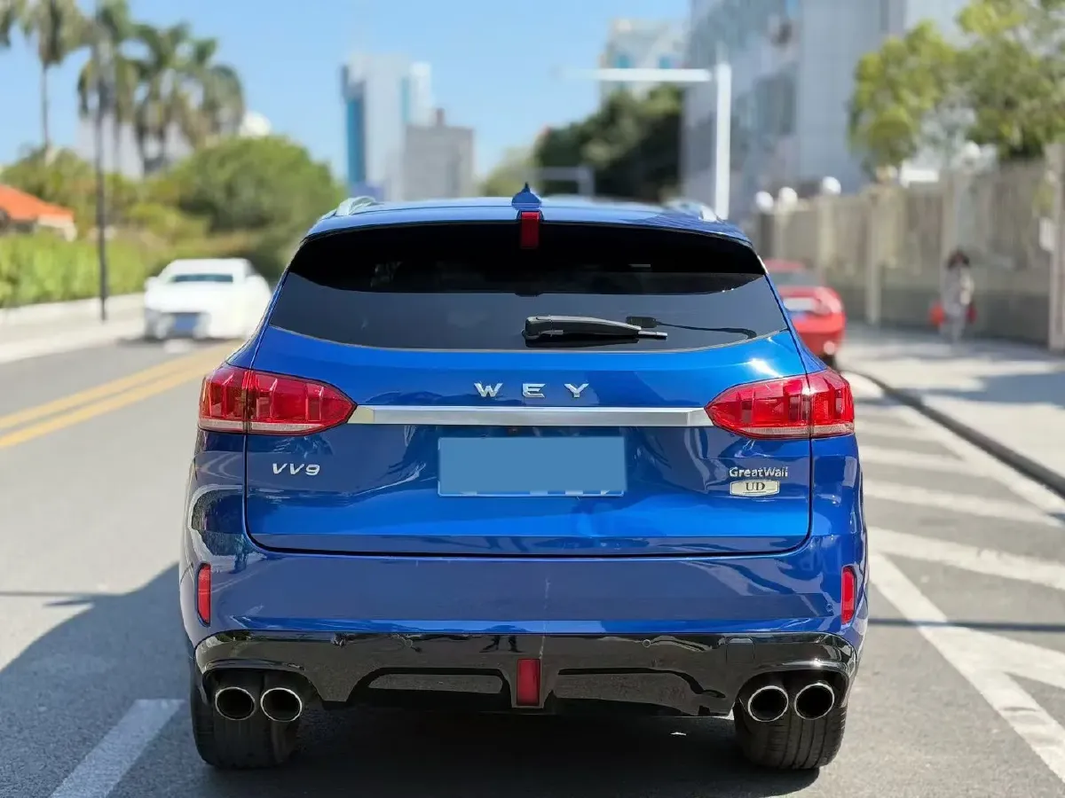 2018 WEY VV6 2.0T 197HP L4 7DCT,autocango,china used car exporter,china ev exporter,chinese used car exporter,chinese used ev exporter