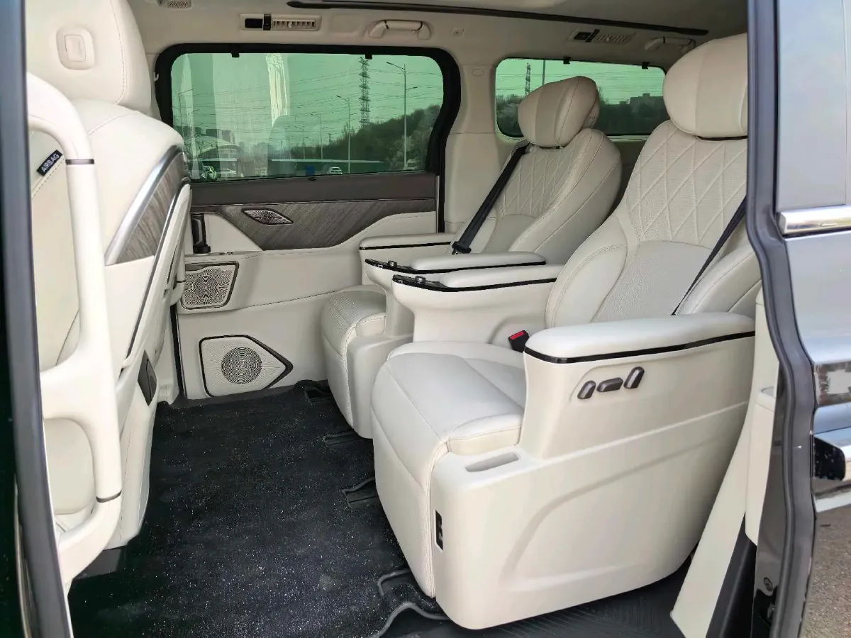 2025 WEY HighMountain 1.5T 170HP L4 4DHT PHEV,autocango,china used car exporter,china ev exporter,chinese used car exporter,chinese used ev exporter