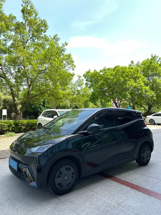 2023 BYD Seagull BEV 30.08KWH,autocango,china used car exporter,china ev exporter,chinese used car exporter,chinese used ev exporter