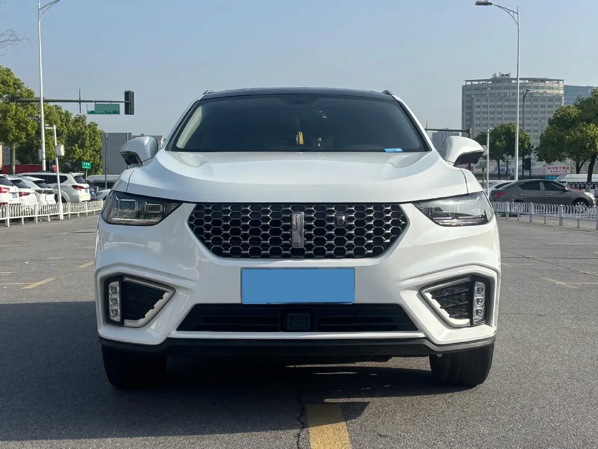2021 WEY VV5 1.5T 171HP L4 7DCT,autocango,china used car exporter,china ev exporter,chinese used car exporter,chinese used ev exporter