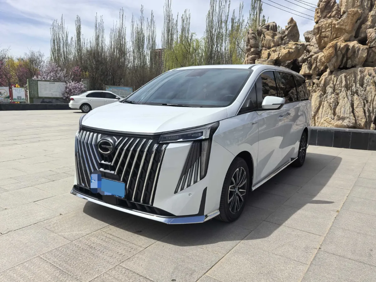 2024 GAC Trumpchi M8 2.0T 252HP L4 8AT,autocango,china used car exporter,china ev exporter,chinese used car exporter,chinese used ev exporter