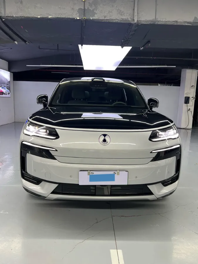 2025 Denza DenzaN9 2.0T 207HP L4 E-CVT PHEV,autocango,china used car exporter,china ev exporter,chinese used car exporter,chinese used ev exporter