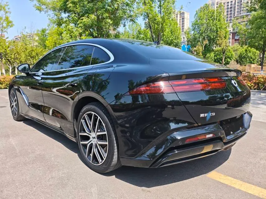 2024 Denza DenzaZ9 2.0T 207HP L4 E-CVT PHEV 38.5KWH,autocango,china used car exporter,china ev exporter,chinese used car exporter,chinese used ev exporter