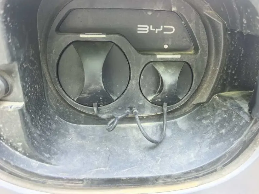 2026 BYD QinL 1.5L 101HP L4 E-CVT PHEV,autocango,china used car exporter,china ev exporter,chinese used car exporter,chinese used ev exporter