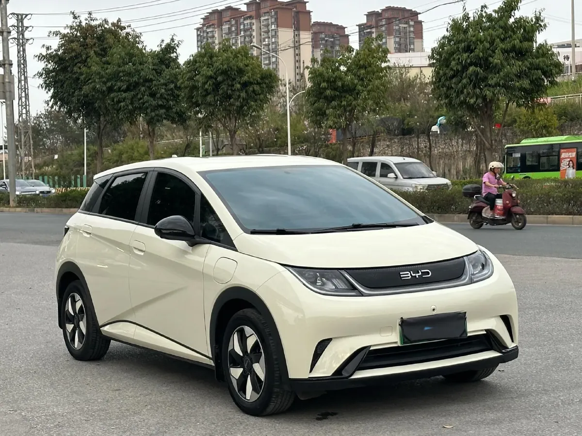 2025 BYD Dolphin BEV 44.928KWH,autocango,china used car exporter,china ev exporter,chinese used car exporter,chinese used ev exporter