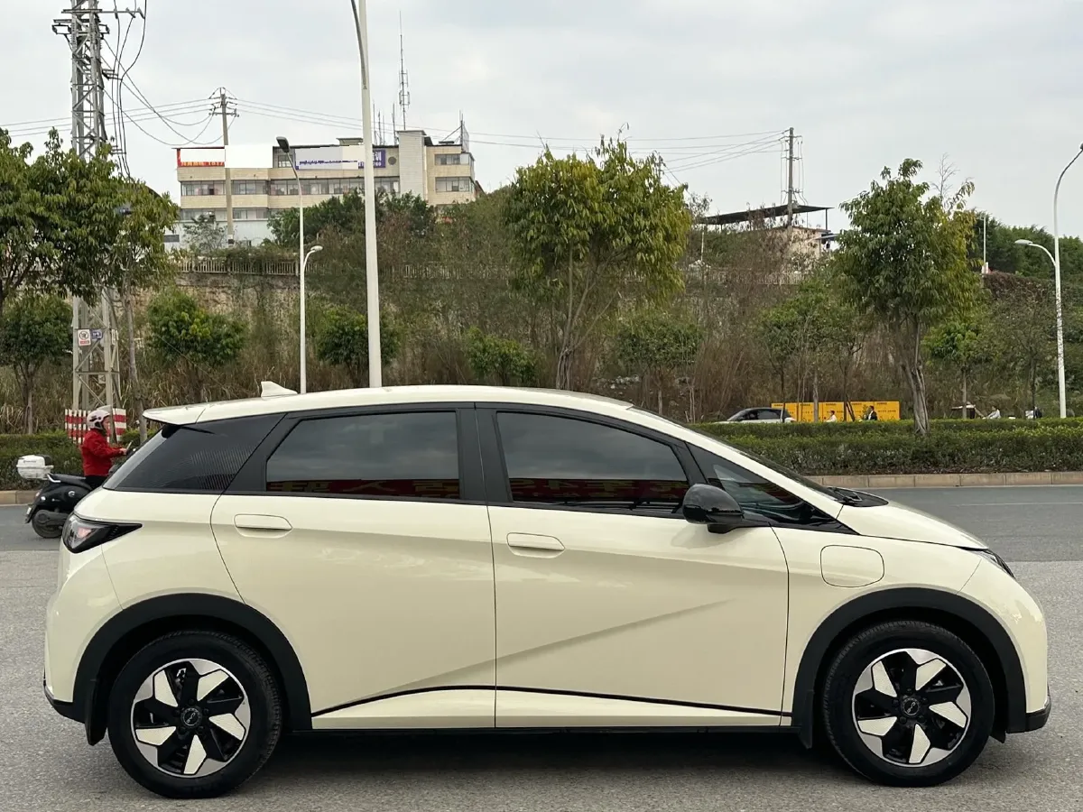 2025 BYD Dolphin BEV 44.928KWH,autocango,china used car exporter,china ev exporter,chinese used car exporter,chinese used ev exporter