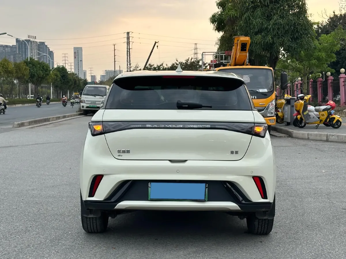 2025 BYD Dolphin BEV 44.928KWH,autocango,china used car exporter,china ev exporter,chinese used car exporter,chinese used ev exporter