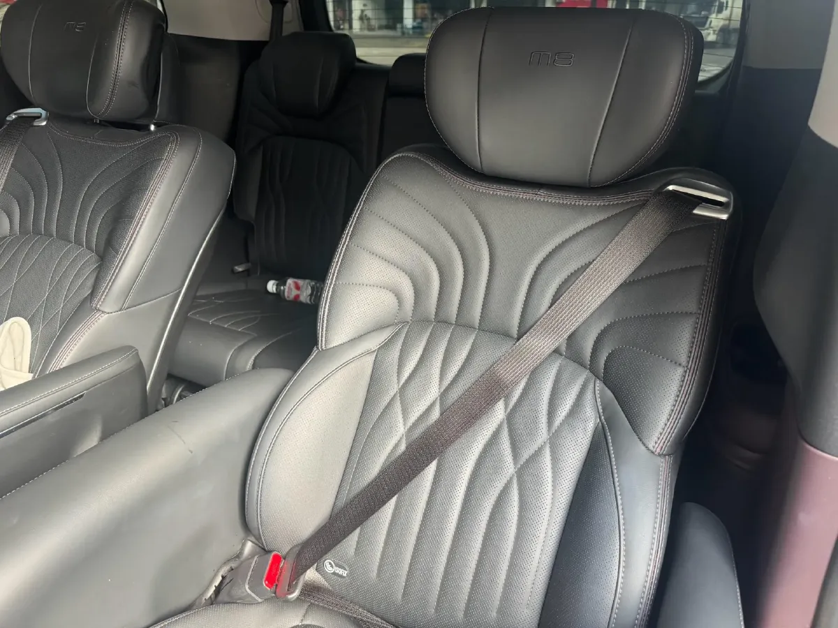 2023 GAC Trumpchi M8 2.0T 252HP L4 8AT,autocango,china used car exporter,china ev exporter,chinese used car exporter,chinese used ev exporter