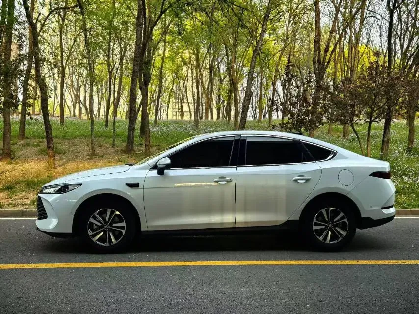 2024 BYD Qin Plus 1.5L 110HP L4 E-CVT PHEV 18.32KWH,autocango,china used car exporter,china ev exporter,chinese used car exporter,chinese used ev exporter