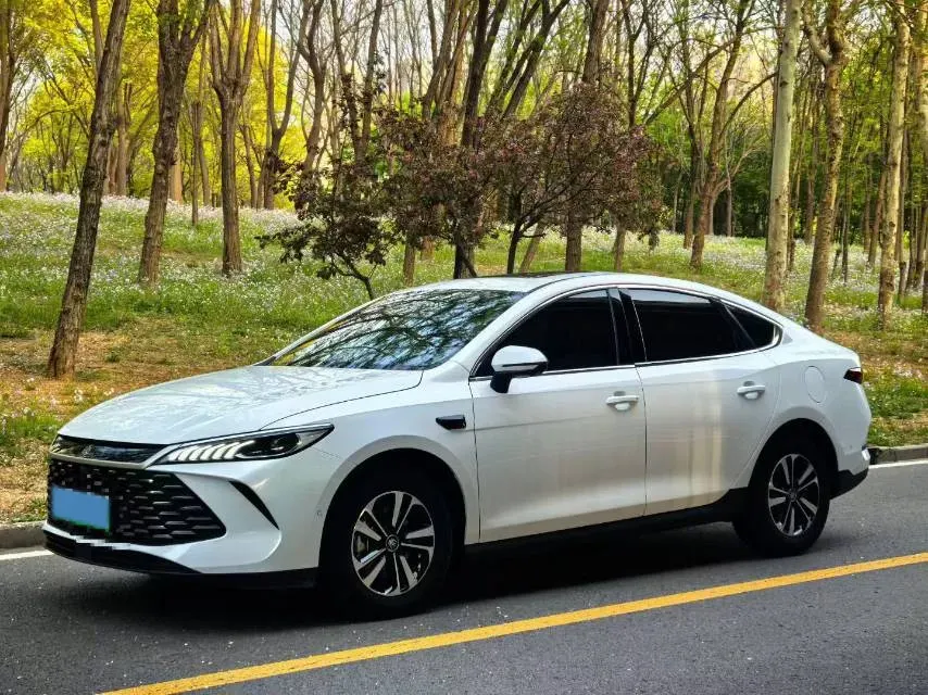 2024 BYD Qin Plus 1.5L 110HP L4 E-CVT PHEV 18.32KWH,autocango,china used car exporter,china ev exporter,chinese used car exporter,chinese used ev exporter