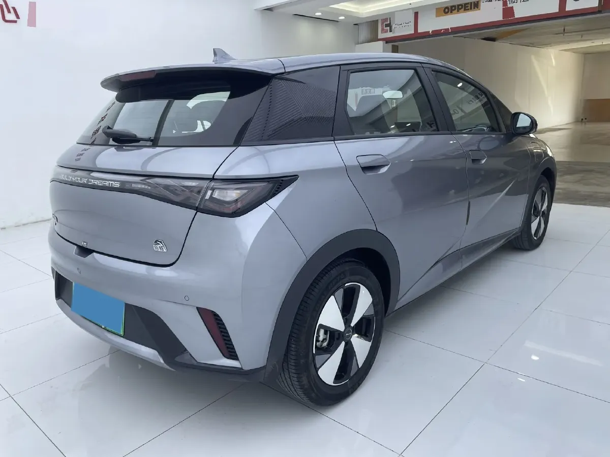 2023 BYD Dolphin BEV 44.928KWH,autocango,china used car exporter,china ev exporter,chinese used car exporter,chinese used ev exporter