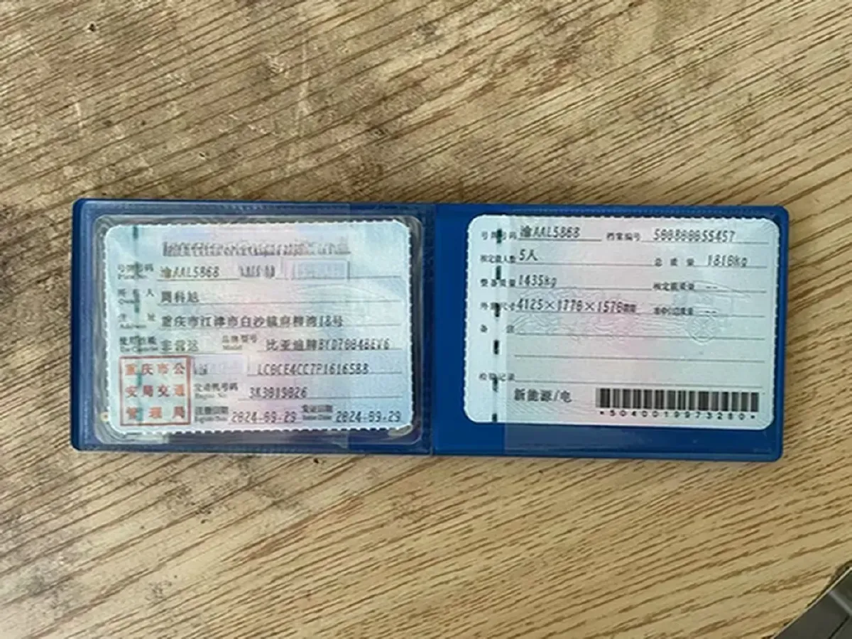 2023 BYD Dolphin BEV 44.928KWH,autocango,china used car exporter,china ev exporter,chinese used car exporter,chinese used ev exporter