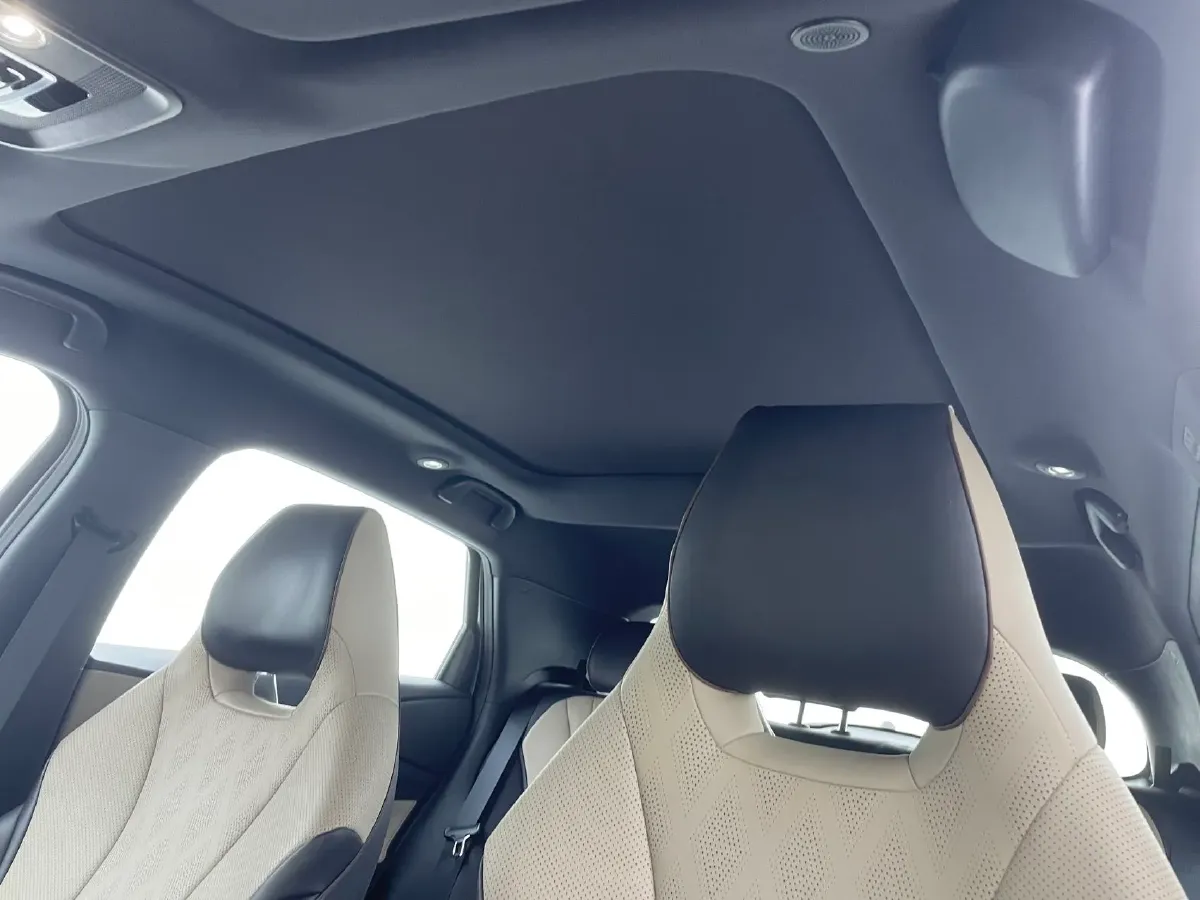 2023 BYD Dolphin BEV 44.928KWH,autocango,china used car exporter,china ev exporter,chinese used car exporter,chinese used ev exporter