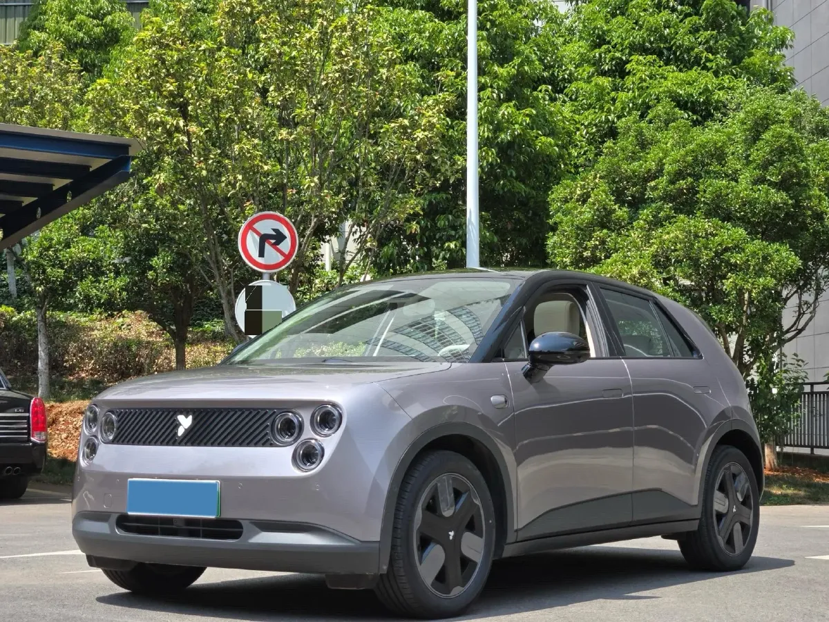 2025 Firefly Firefly BEV,autocango,china used car exporter,china ev exporter,chinese used car exporter,chinese used ev exporter