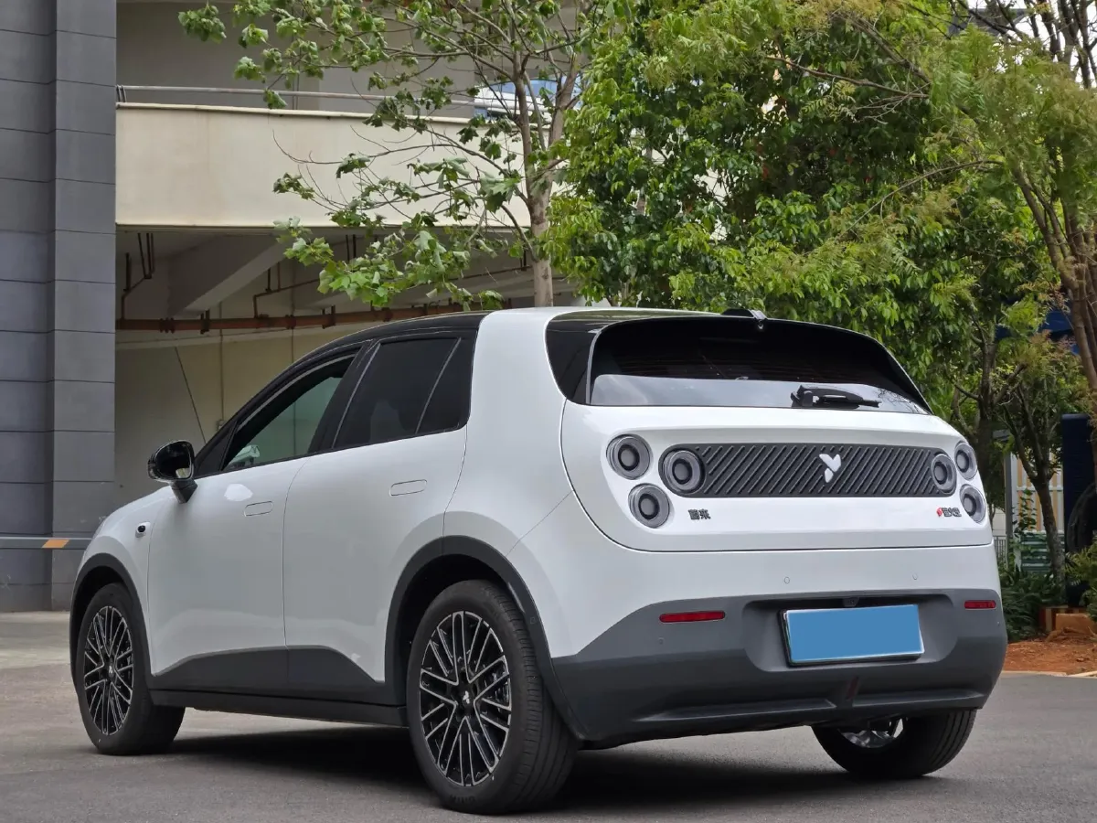 2025 Firefly Firefly BEV,autocango,china used car exporter,china ev exporter,chinese used car exporter,chinese used ev exporter