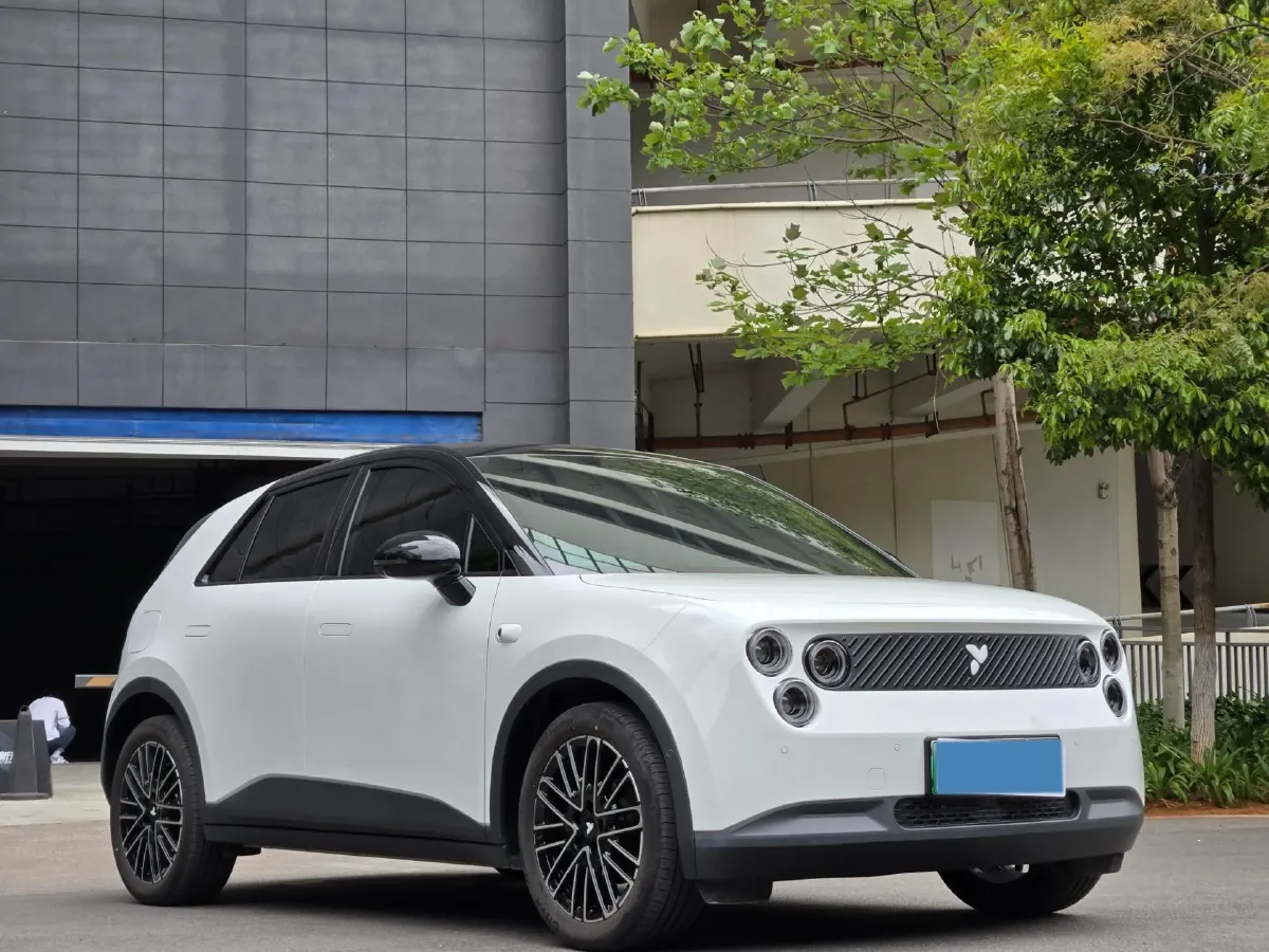 2025 Firefly Firefly BEV,autocango,china used car exporter,china ev exporter,chinese used car exporter,chinese used ev exporter