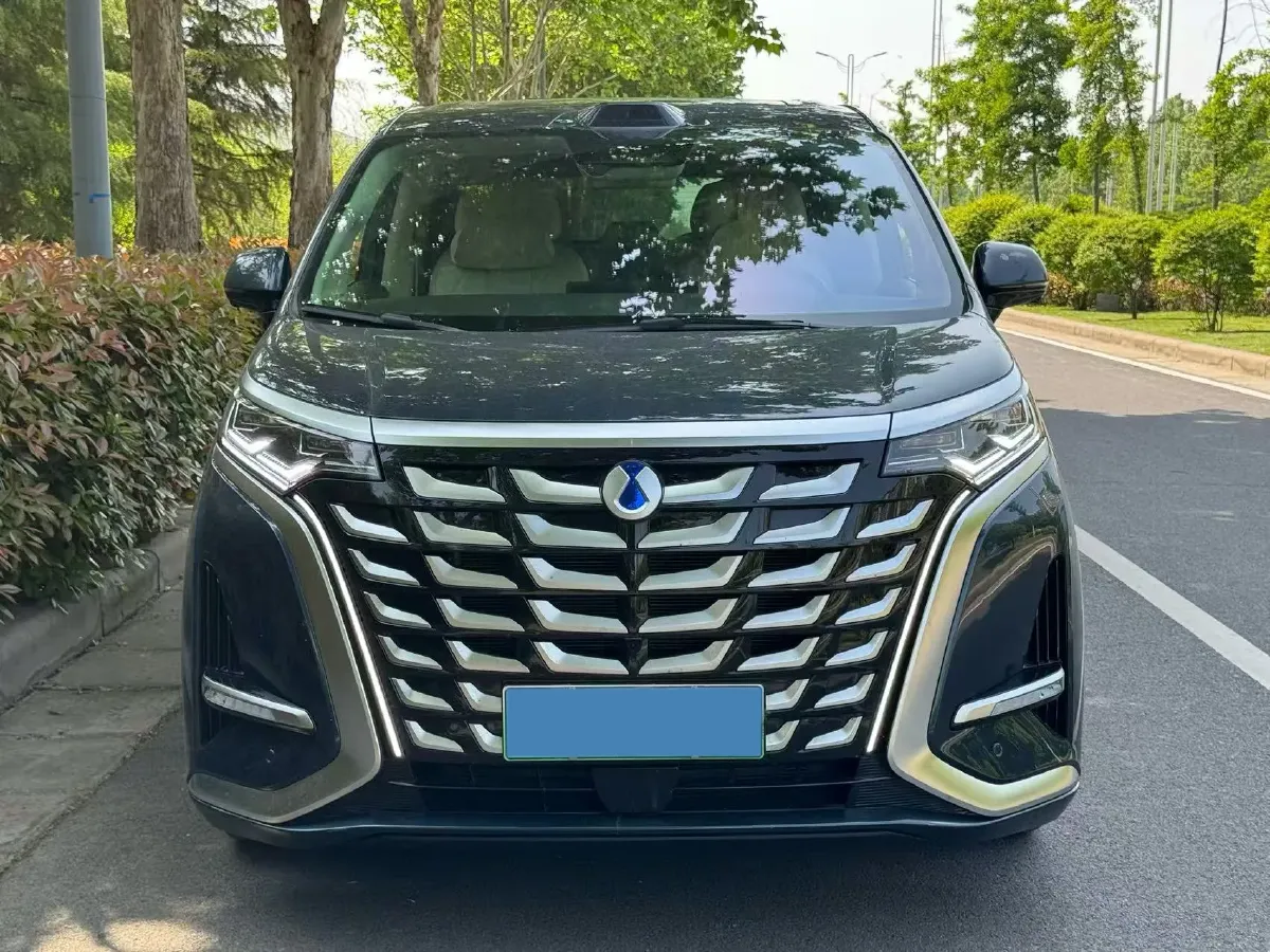 2025 Denza D9 1.5T 156HP L4 E-CVT PHEV 40KWH,autocango,china used car exporter,china ev exporter,chinese used car exporter,chinese used ev exporter