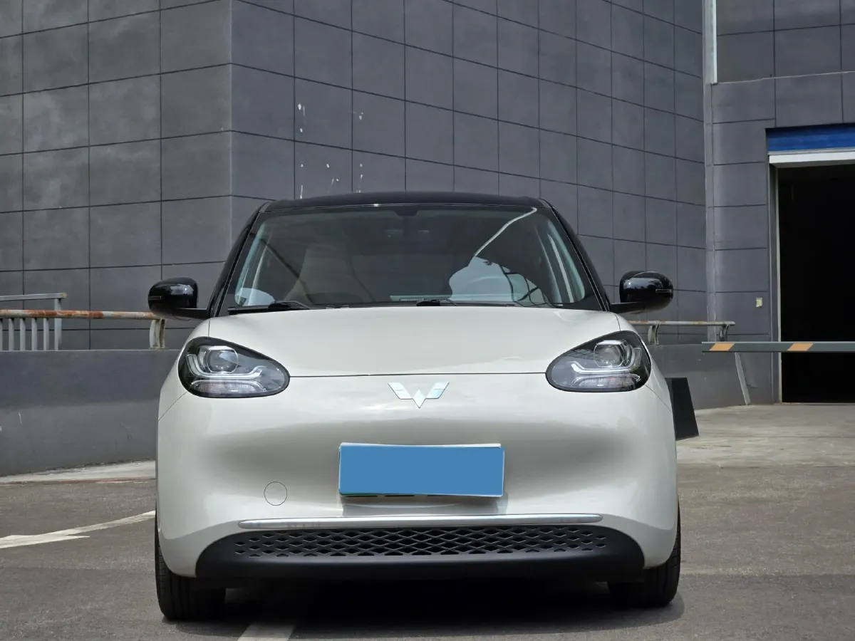 2023 WuLing BinGuo BEV 31.9KWH,autocango,china used car exporter,china ev exporter,chinese used car exporter,chinese used ev exporter