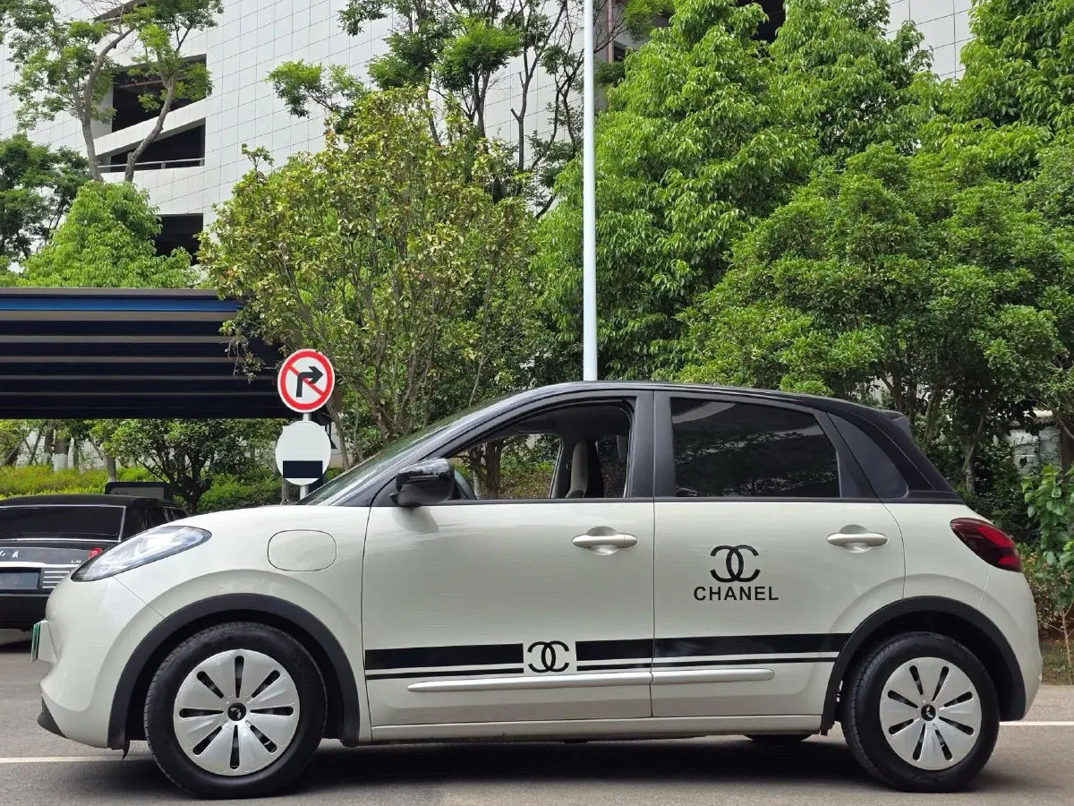 2023 WuLing BinGuo BEV 31.9KWH,autocango,china used car exporter,china ev exporter,chinese used car exporter,chinese used ev exporter