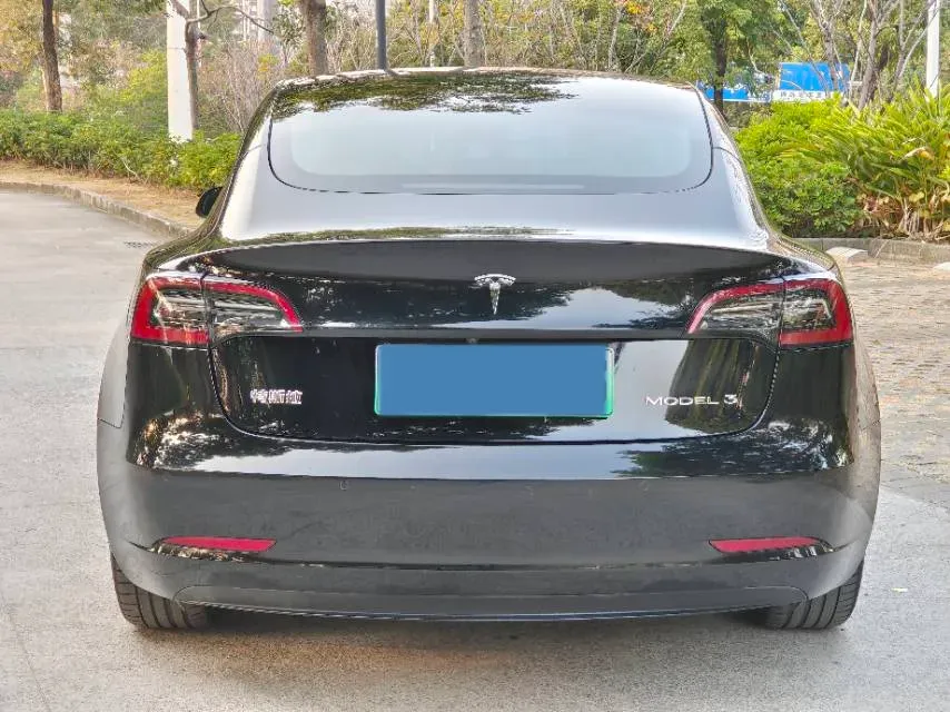 2021 Tesla Model 3 BEV 55KWH,autocango,china used car exporter,china ev exporter,chinese used car exporter,chinese used ev exporter