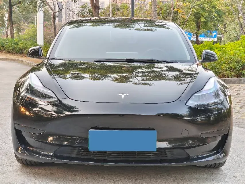 2021 Tesla Model 3 BEV 55KWH,autocango,china used car exporter,china ev exporter,chinese used car exporter,chinese used ev exporter