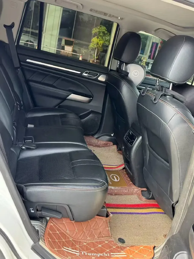 2019 GAC Trumpchi GS8 2.0T 252HP L4 6AT,autocango,china used car exporter,china ev exporter,chinese used car exporter,chinese used ev exporter