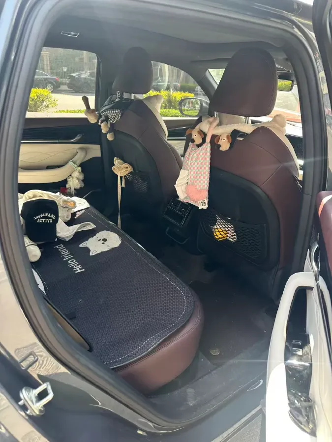 2024 Geely Monjaro 2.0T 238HP L4 8AT,autocango,china used car exporter,china ev exporter,chinese used car exporter,chinese used ev exporter