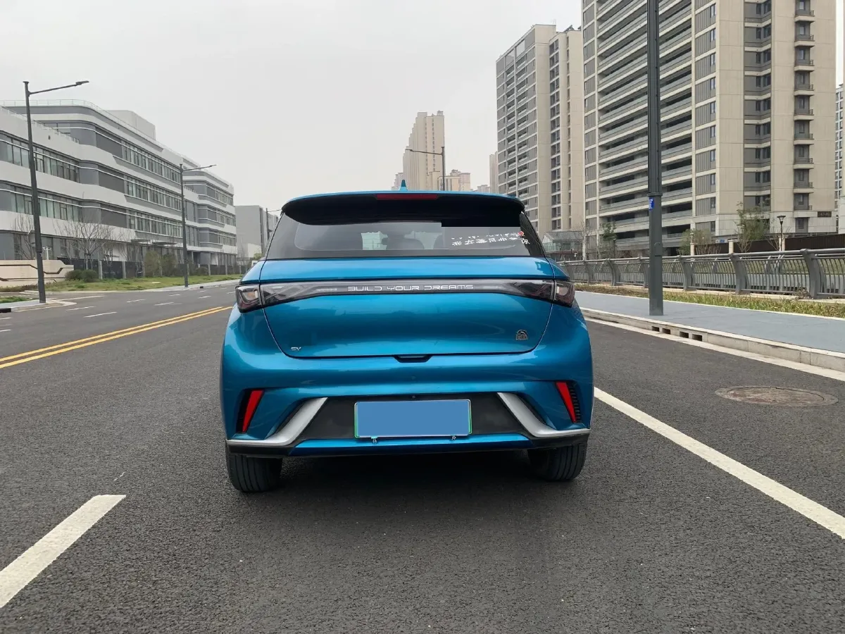 2021 BYD Yuan Pro BEV 50.1KWH,autocango,china used car exporter,china ev exporter,chinese used car exporter,chinese used ev exporter