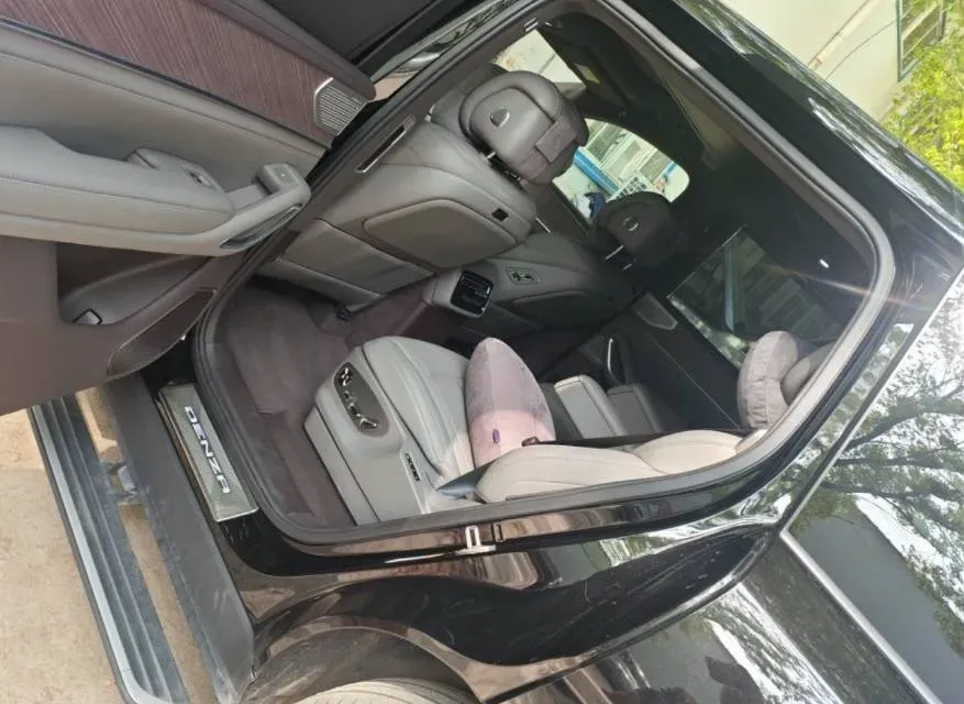 2025 Denza DenzaN9 2.0T 207HP L4 E-CVT PHEV,autocango,china used car exporter,china ev exporter,chinese used car exporter,chinese used ev exporter