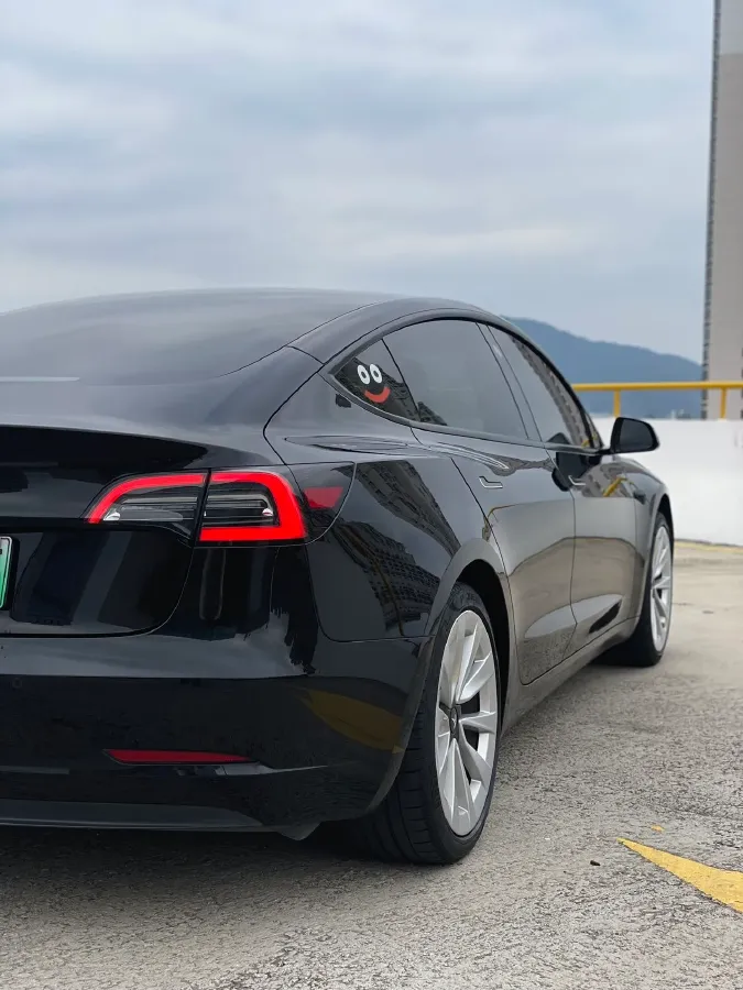 2021 Tesla Model 3 BEV 55KWH,autocango,china used car exporter,china ev exporter,chinese used car exporter,chinese used ev exporter
