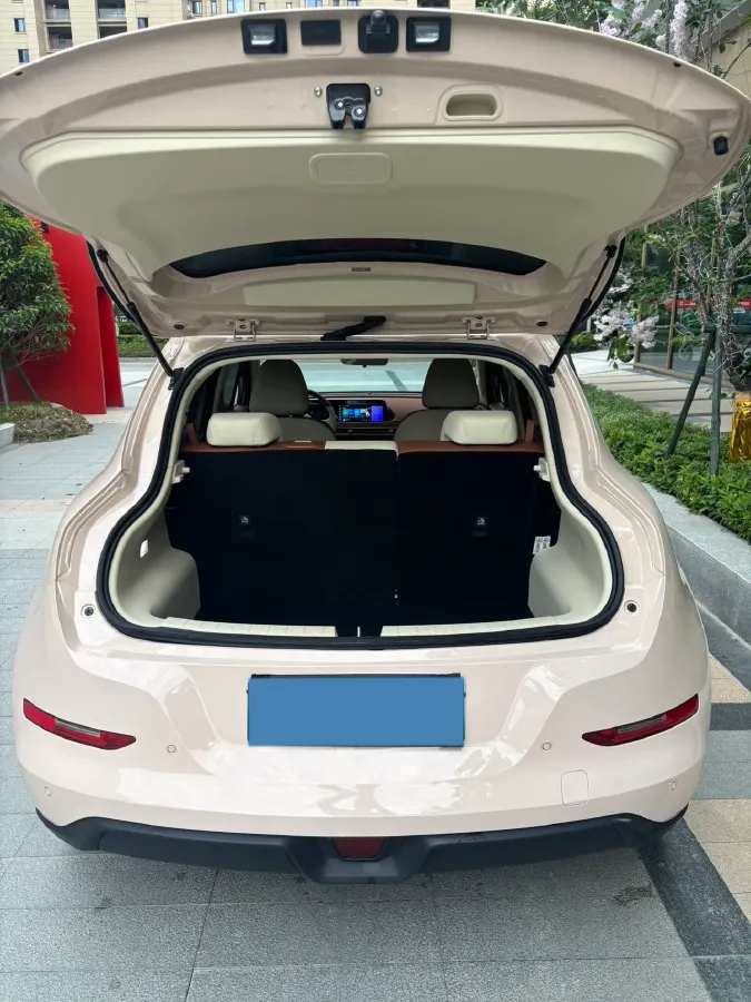 2023 Ora FunkyCat BEV 47.8KWH,autocango,china used car exporter,china ev exporter,chinese used car exporter,chinese used ev exporter