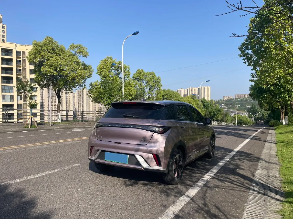 2024 BYD Dolphin BEV 44.928KWH,autocango,china used car exporter,china ev exporter,chinese used car exporter,chinese used ev exporter