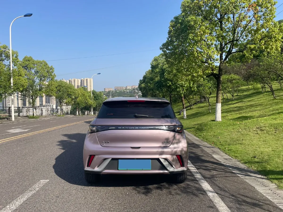 2024 BYD Dolphin BEV 44.928KWH,autocango,china used car exporter,china ev exporter,chinese used car exporter,chinese used ev exporter