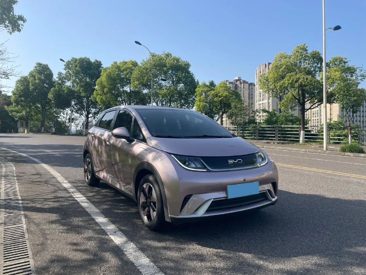 2024 BYD Dolphin BEV 44.928KWH,autocango,china used car exporter,china ev exporter,chinese used car exporter,chinese used ev exporter