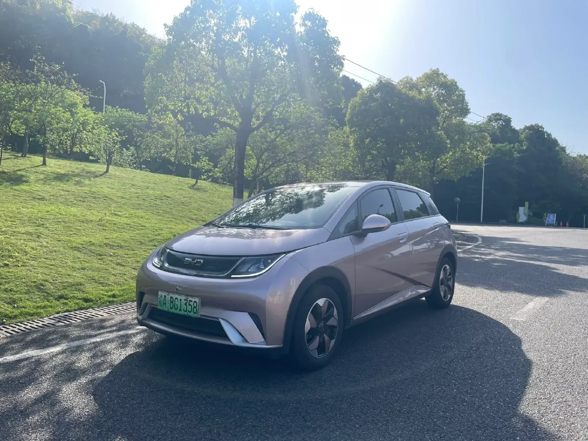 2024 BYD Dolphin BEV 44.928KWH,autocango,china used car exporter,china ev exporter,chinese used car exporter,chinese used ev exporter