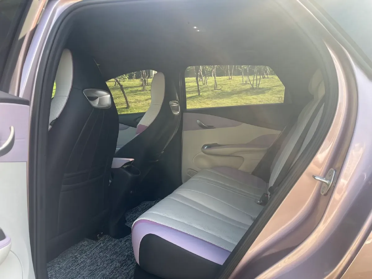 2024 BYD Dolphin BEV 44.928KWH,autocango,china used car exporter,china ev exporter,chinese used car exporter,chinese used ev exporter