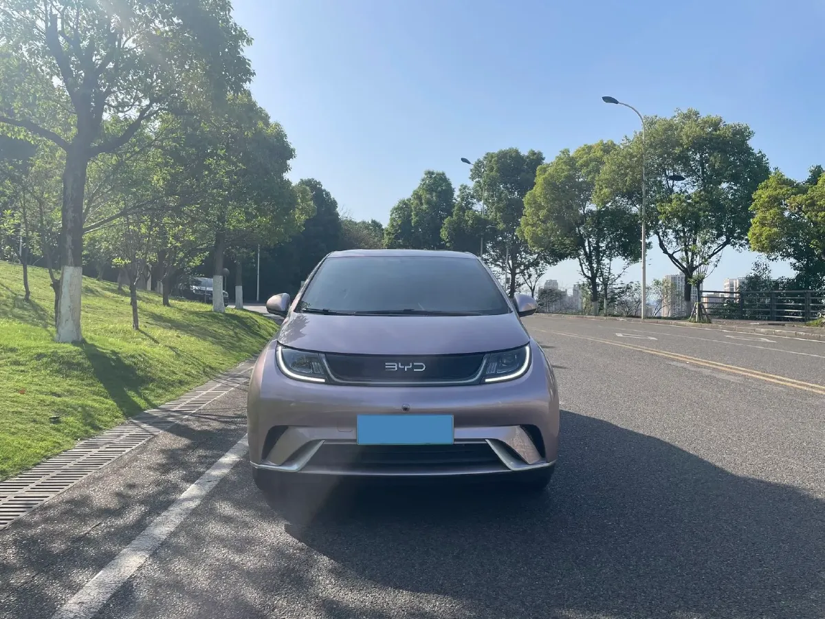 2024 BYD Dolphin BEV 44.928KWH,autocango,china used car exporter,china ev exporter,chinese used car exporter,chinese used ev exporter