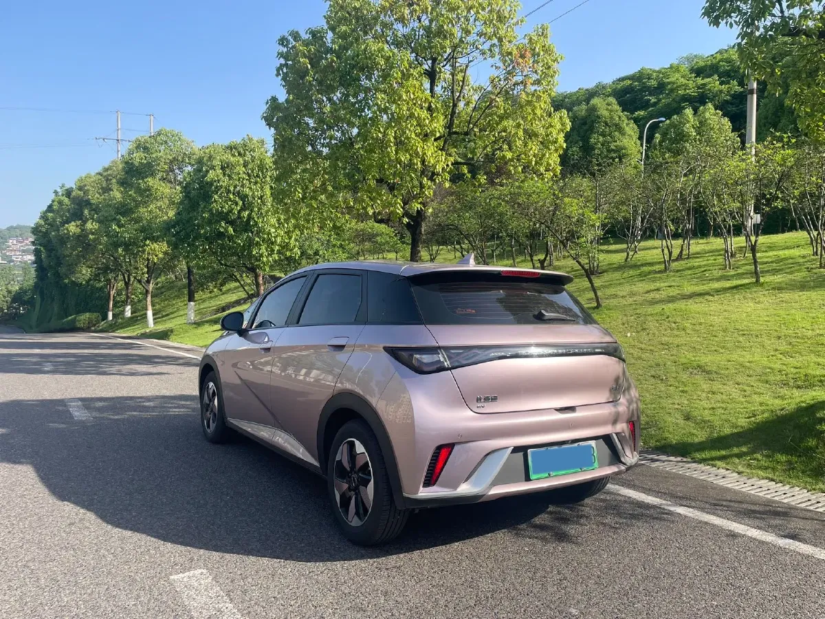 2024 BYD Dolphin BEV 44.928KWH,autocango,china used car exporter,china ev exporter,chinese used car exporter,chinese used ev exporter